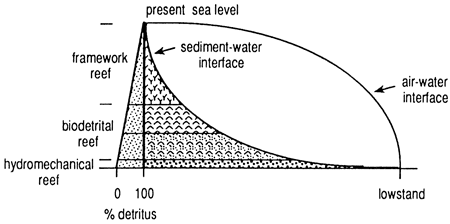 Schematic comparing reef type and sea level.