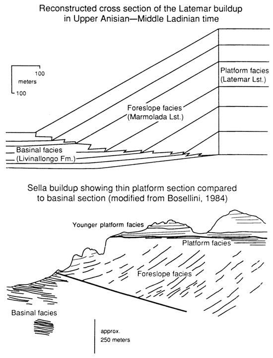 Middle Triassic buildups of the central Dolomites, Italy.