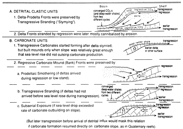 Models for basinward stratigraphic relations.