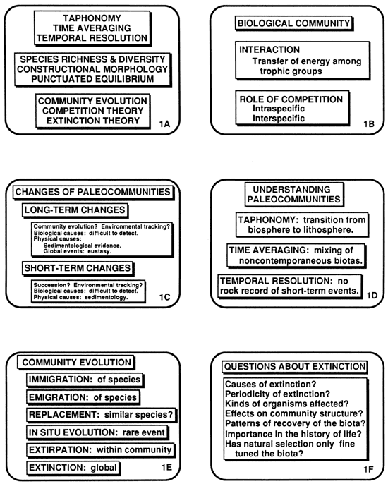 Paleontological subjects that impinge on modeling of sedimentology and stratigraphy.