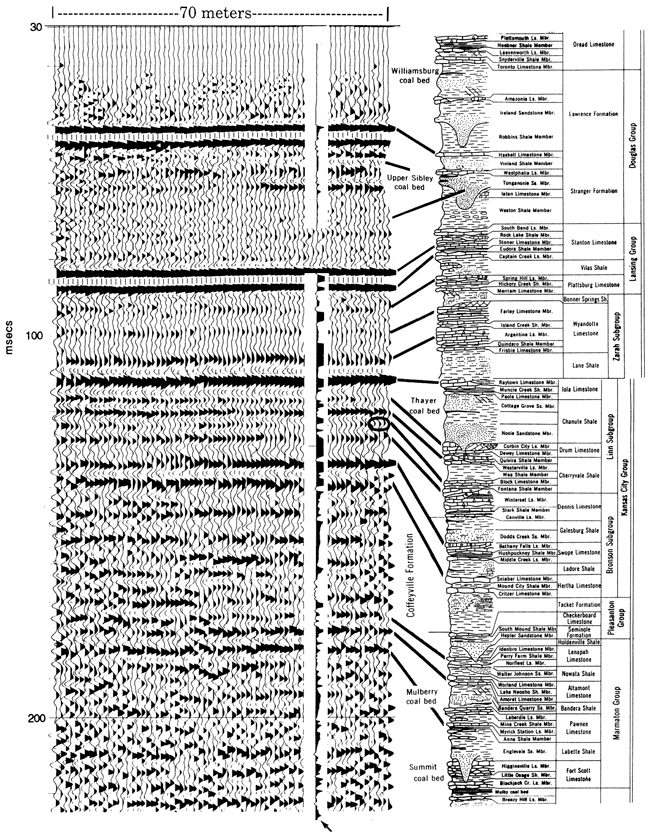 Seismic section and stratigraphic chart.