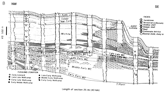 Cross section based on logs.