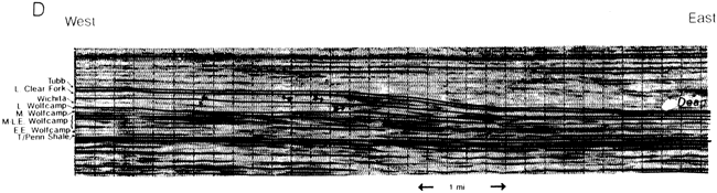 Seismic line.