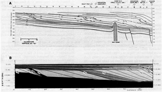 Interpreted seismic line.