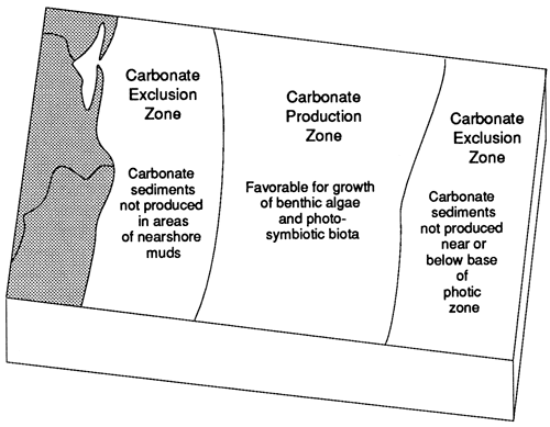 Carbonate producing zone flanked by zones where carbonate is excluded (because of nearshore muds or excessive water depth).