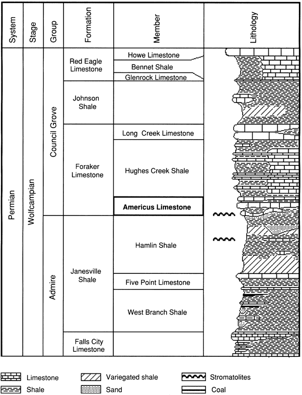 Americus Limestone Member in lower part of Foraker Limestone (below Hughes Creek Shale and Long Creek Limestone) in Council Grove Group.