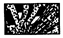 growth-framework porosity