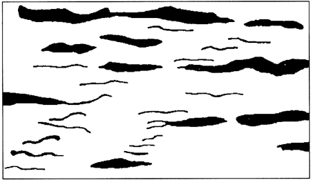 Drawing showing thin, irregular, horizontal black bands in white background.