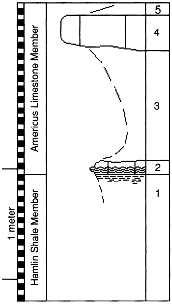 graphic version of section 11