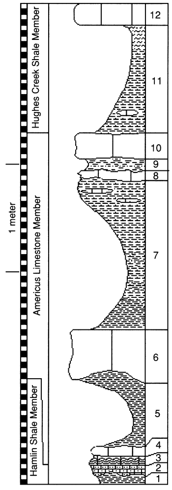 graphic version of section 12