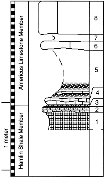 graphic version of section 16