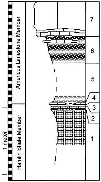 graphic version of section 17