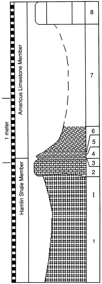 graphic version of section 18