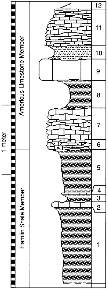 graphic version of section 2