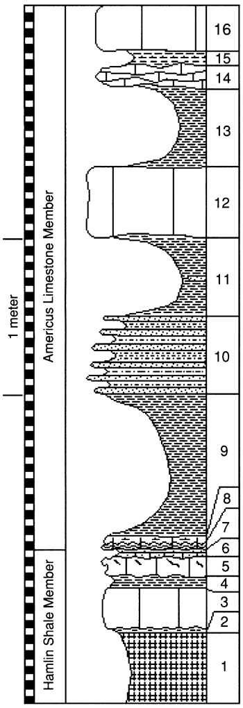 graphic version of section 20