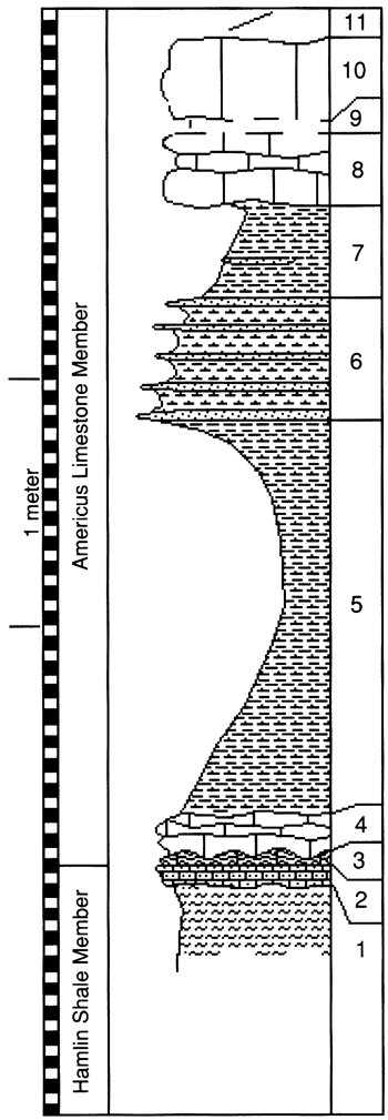 graphic version of section 21