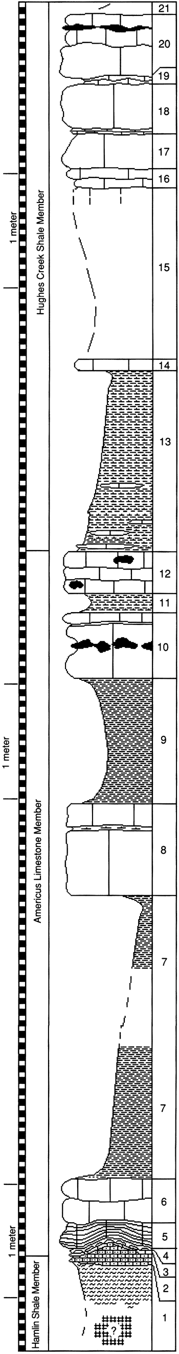 graphic version of section 23