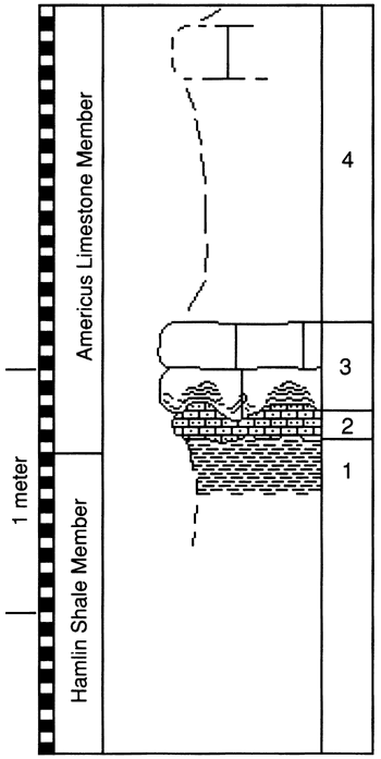 graphic version of section 24