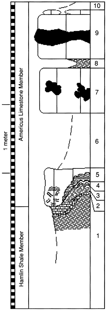 graphic version of section 25