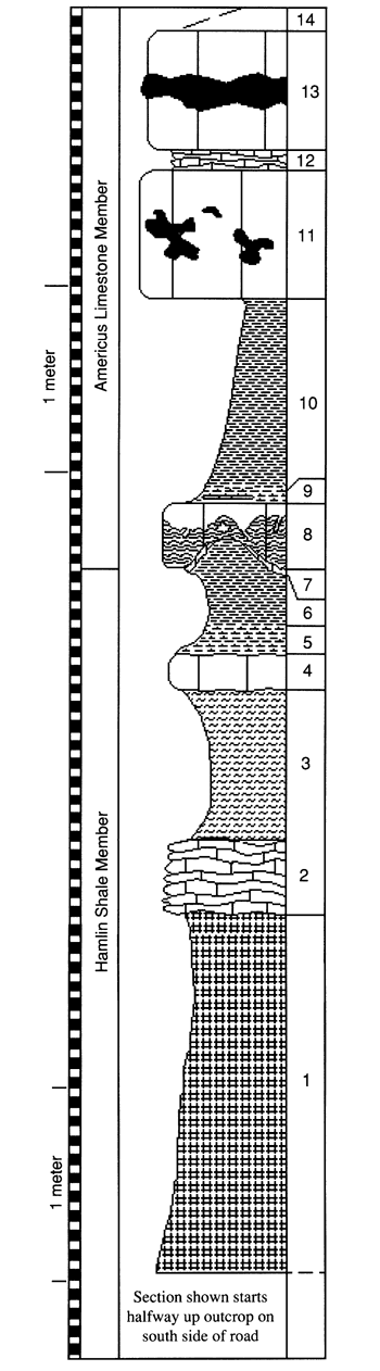 graphic version of section 27