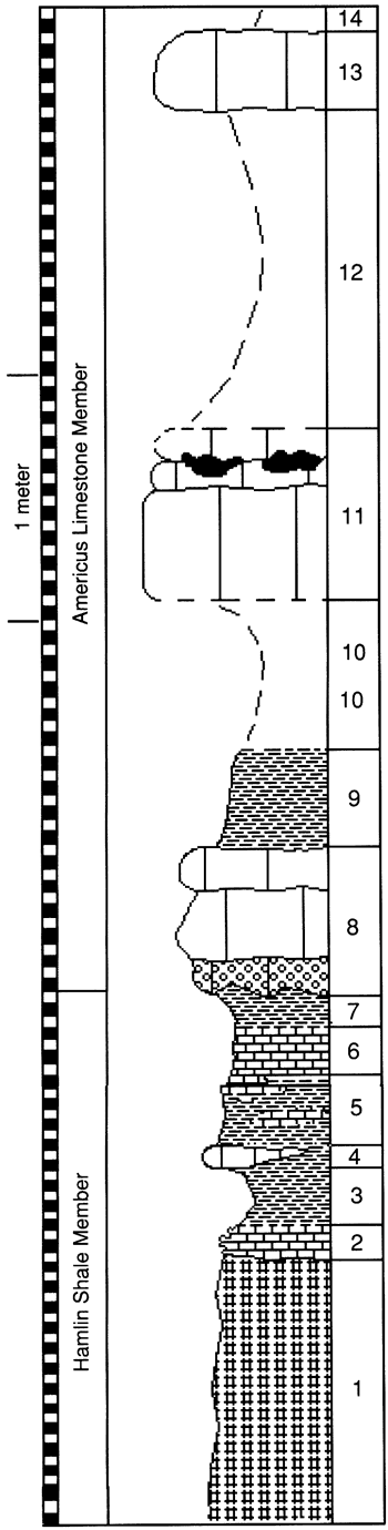 graphic version of section 29