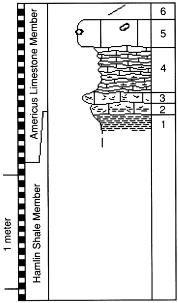 graphic version of section 4