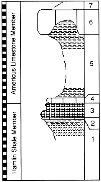 graphic version of section 5