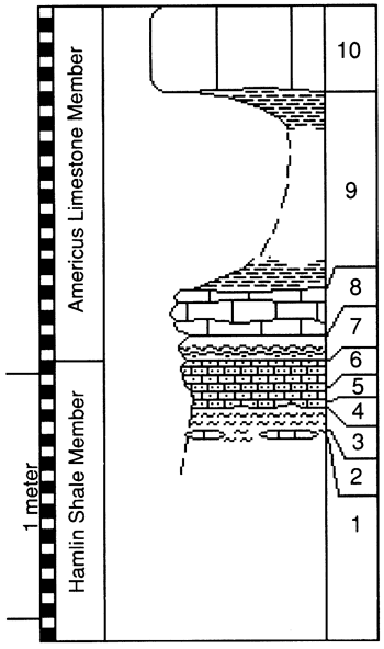 graphic version of section 6