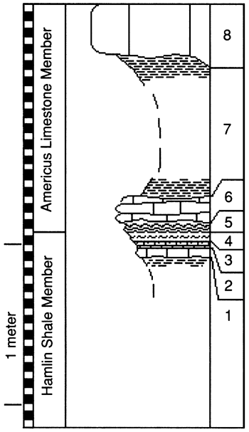 graphic version of section 7