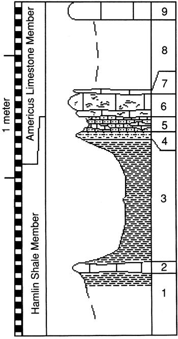 graphic version of section 9