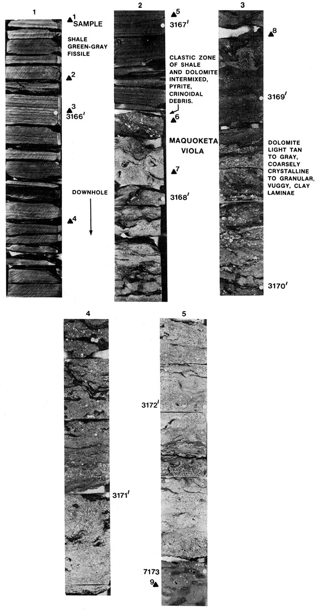 Black and white photos of core.