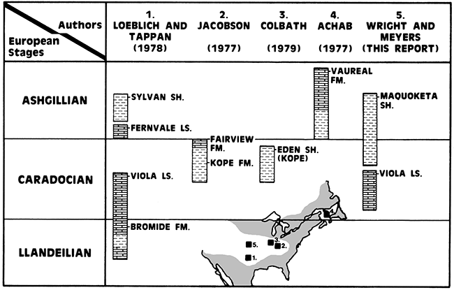 Stratigrsaphic positions from 5 publications.