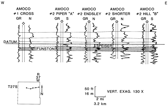 Cross section of 5 gamma ray and neutron or sonic logs across northern part of study area.