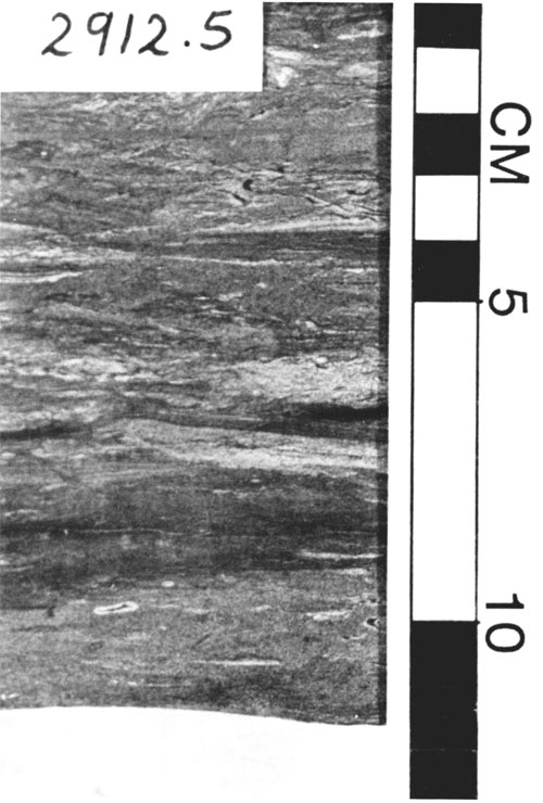 Black and white photo of core.