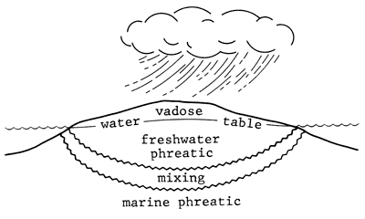 Diagram shows relation of fresh water precipitation, marine zone of sea water, and the mixing zones.