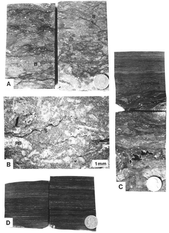 Four black and white photos of core.