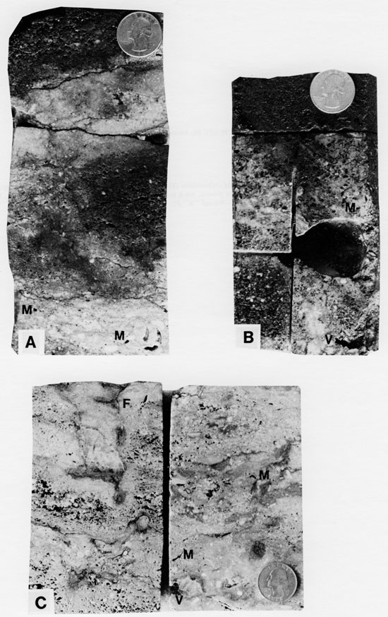 Three black and white photos of core.