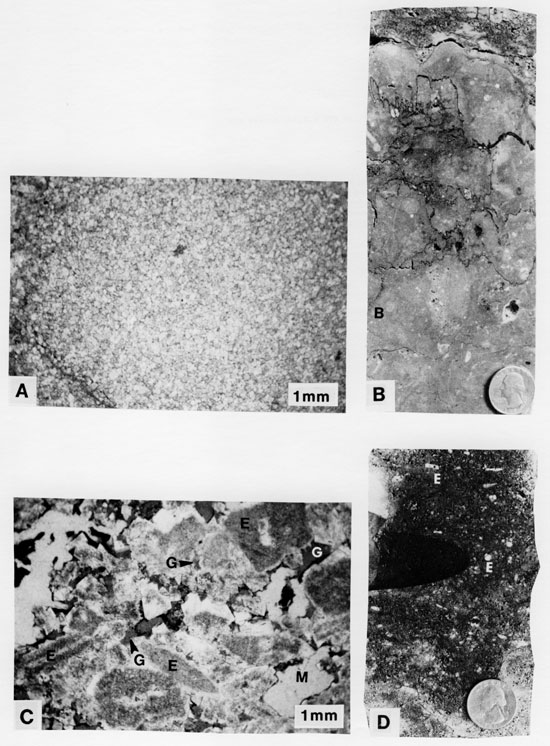 Two black and white photomicrographs and two black and white photos of core.