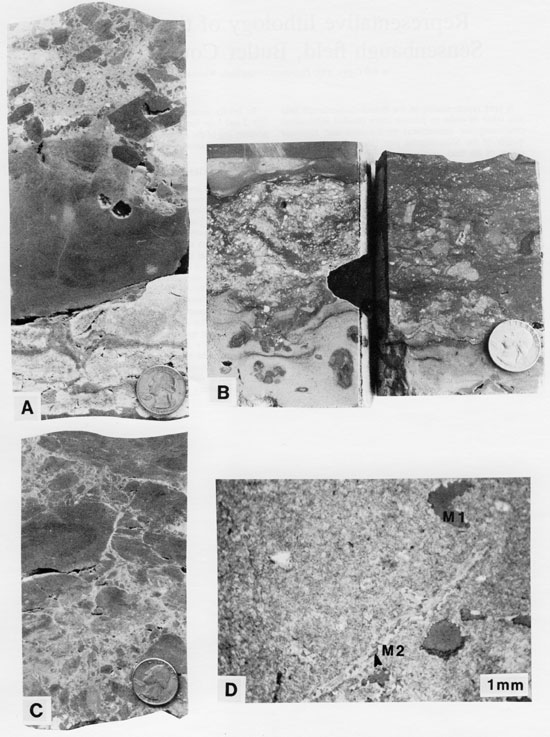 Four black and white photos of core.