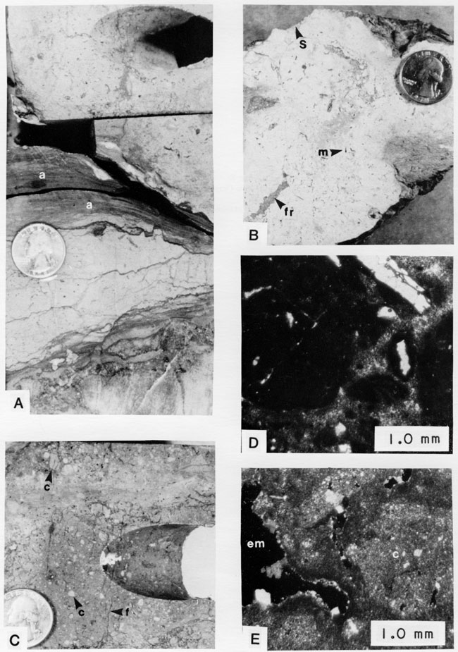 Five black and white photos of core.