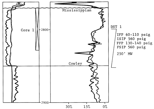 Log data and DST 1 results for Bing 2 well.