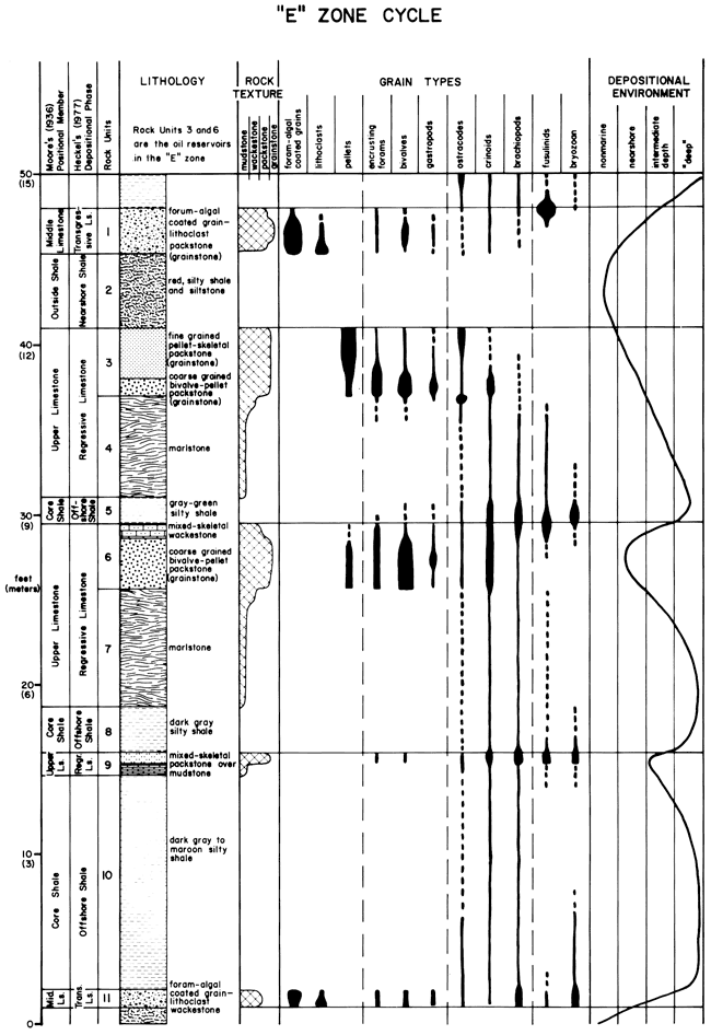 Lithology, graintypes, depositional environment, etc. for E zone.