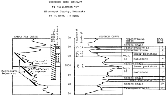 Gamma Ray and Neutron logs compared to depositional phases.