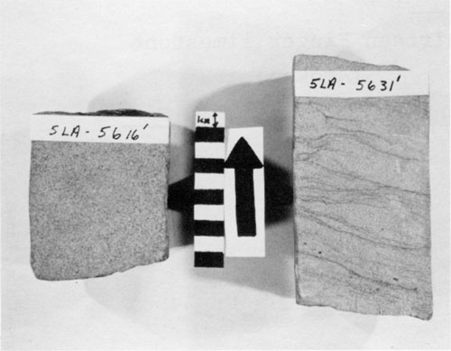 Black and white photo of two cores.