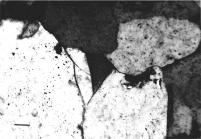 Black and white photomicrograph of Morrowan sandstone.