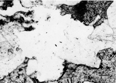 Black and white photomicrograph of Morrowan sandstone.