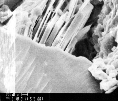 Black and white scanning-electron micoscope photograph of kaoliniite.