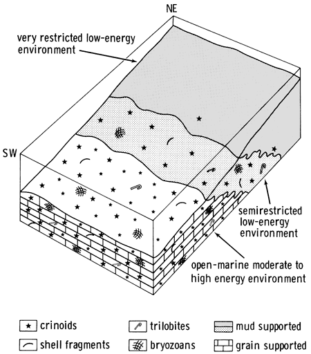 Block diagram showing rock types found and fossils expected in open-marine, semirestricted, and very restricted marine environments.