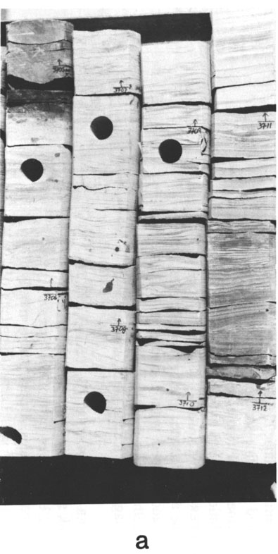 Black and white photo of core.