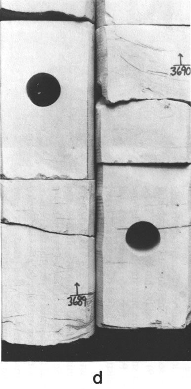 Black and white photo of core.